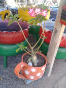 Xícaras Artesanais Feitas com Pneus Reciclados – Decoração Ecológica e Criativa