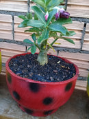 Floreira Pequena Artesanal Feita com Pneu Reciclado – Ideal para Plantas e Flores