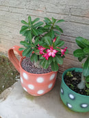 Xícaras Artesanais Feitas com Pneus Reciclados – Decoração Ecológica e Criativa