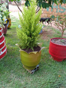 Vaso Jarro Pequeno de Pneu Reciclado – Design Ecológico para Varandas e Quintais