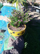 Floreira Pequena Artesanal Feita com Pneu Reciclado – Ideal para Plantas e Flores