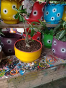 Floreira Pequena Artesanal Feita com Pneu Reciclado – Ideal para Plantas e Flores