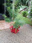 Vaso Jarro Exótico de Pneu Reciclado – Ideal para Quintais e Espaços Externos