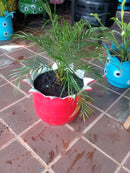 Vaso Jarro Grande de Pneu Reciclado – Design Ecológico para Quintais e Paisagismo