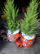 Xícara Grande Decorativa em Pneu Reciclado – Sustentável para Jardim e Varanda