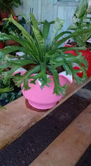 Vaso Jarro Pequeno de Pneu Reciclado – Design Ecológico para Varandas e Quintais