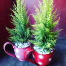 Xícaras Artesanais Feitas com Pneus Reciclados – Decoração Ecológica e Criativa