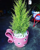 Xícara Grande Decorativa em Pneu Reciclado – Sustentável para Jardim e Varanda