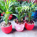 Vaso Jarro Pequeno de Pneu Reciclado – Design Ecológico para Varandas e Quintais