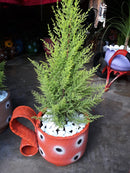 Xícara Grande Decorativa em Pneu Reciclado – Sustentável para Jardim e Varanda