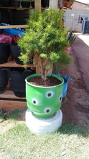 Floreira Decorativa em Pneu Reciclado – Arte Sustentável para Espaços Externos